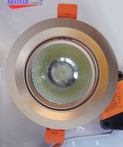 Âm trần COB Sasimi C10