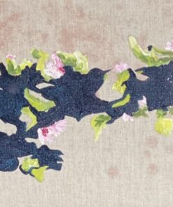 Shade of Apple Blossom