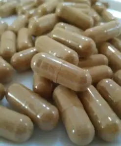 beond ibogaine