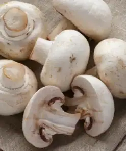 enoki mushroom