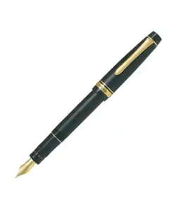 Pilot Justus penna stilografica finiture oro