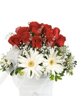 Kırmızı Gül Beyaz Gerbera C-CAM108