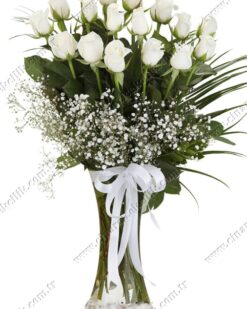 17 Beyaz Gül C-CAM111