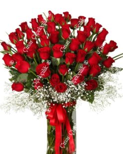 50 Kırmızı Gül C-CAM113