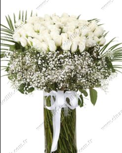 66 Beyaz Gül C-CAM114