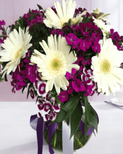 Cam Fanusta Hüsnü Yusuf ve Beyaz Gerbera - C-CAM142