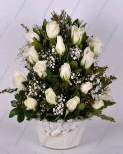 Aşkın Asaleti 15 Beyaz Gül C-CAM135