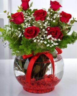 Fanus İçinde 7 Kırmızı Gül