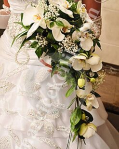 Gelin Buketi Beyaz Orkide Sarkmalı