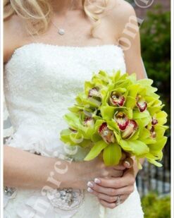 Gelin Buketleri Yeşil Orkide