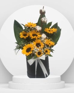 Kutu İçinde Güne Bakan Çiçeği
