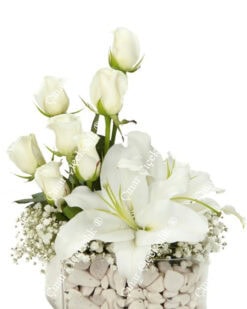 Sonsuza Kadar Beyaz Gül Lilyum C-CAM128