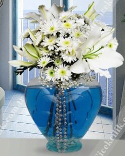 Kocaman Gülümseme  C-KLP116