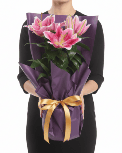 Özel Tasarım Saksıda Mis Kokulu Pembe Lilyum