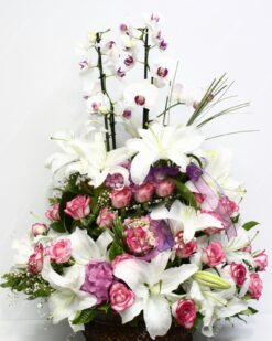 En Değerli Orkide Pembe Gül Lilyum C-AR139