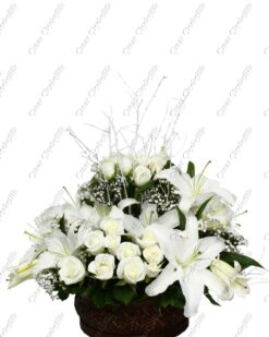 Bahar Kokulum Kokulu Lilyum Beyaz Gül C-AR153