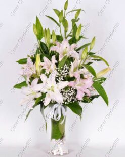 Sihirli Pembe Kokulu Lilyum C-AR143