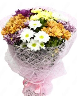 Bahar Sevinci Papatya Kır Çiçeği C-BUK163