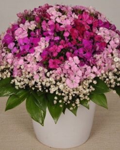 Seramik Vazoda Hüsnü Yusuf