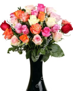 27 Renkli Birinci Sınıf Güller C-CAM126