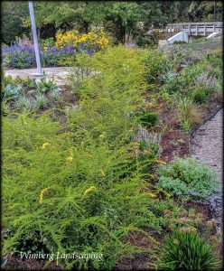 Read more about the article Notes From the Gardens: We Do This For You