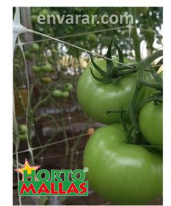 tutoreo para cultivo de jitomates
