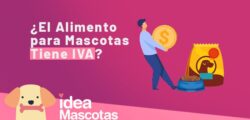 ¿El Alimento para Mascotas Tiene IVA? ¡Atención Pet-Lovers!