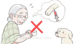 犬の飼い主、年配の女性が飼い犬に食事をしようとしている、イラスト