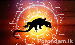 සූනන්-කෑ-ගැසීමේ-පලාපල