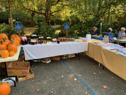 Harvest Festival