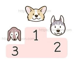 採血が難しい犬のランキング、コーギー、ダックス、ハスキー