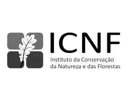 Instituto da Conservação da Natureza e Florestas