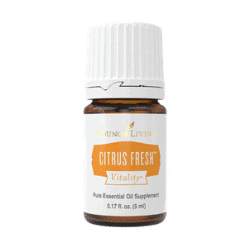Citrus Fresh Vitality PNG