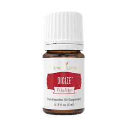 Digize Vitality PNG