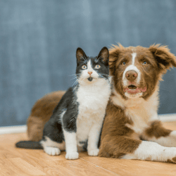 Titelbild Blogartikel Entgiftungskur