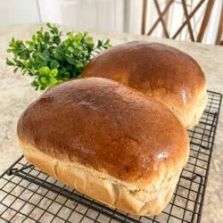Fresh Milled flour bread loaves resting on a wire baking rack with a green fake plant in the background.
