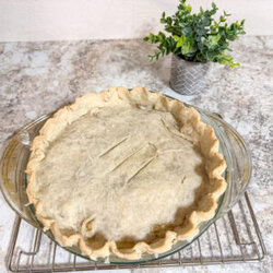 cooked gluten-free and dairy-free chicken pot pie