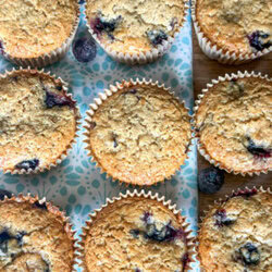 Close-up of einkorn flour blueberry muffins on a wooden table, sitting on a turquoise and white patterned placemat with fresh blueberries scattered around, highlighting texture and juicy berries