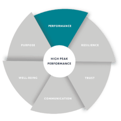 HighPeakPerformance-performance