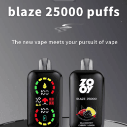 ZOOY BLAZEN 25000 PUFF European warehouses disposable vape full scream display double mesh coil puff 25k vaper