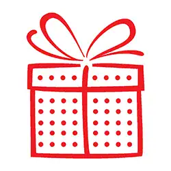 An icon of a packed present representing donor-advised funds