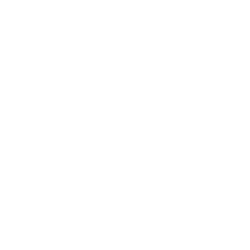 Icon Flasche