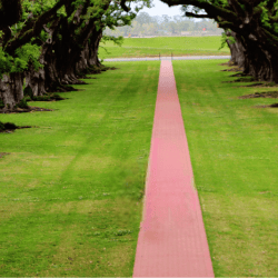 Image of a plantation for header image of compliance with modern slavery act article