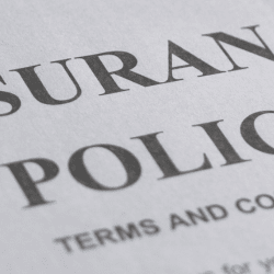 Insurance Policy Terms and Conditions as a web header