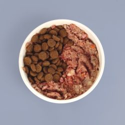 Bowl of kibble and raw food for dogs