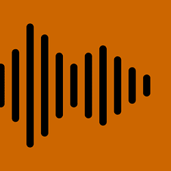 voice-3