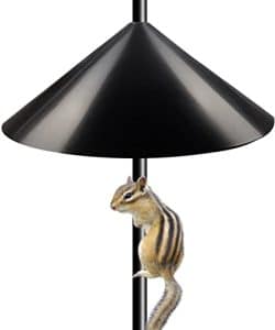 Squirrel Deterrent Bird Feeder