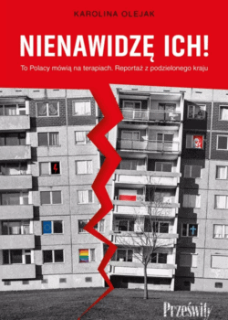 nienawidzę ich okładka