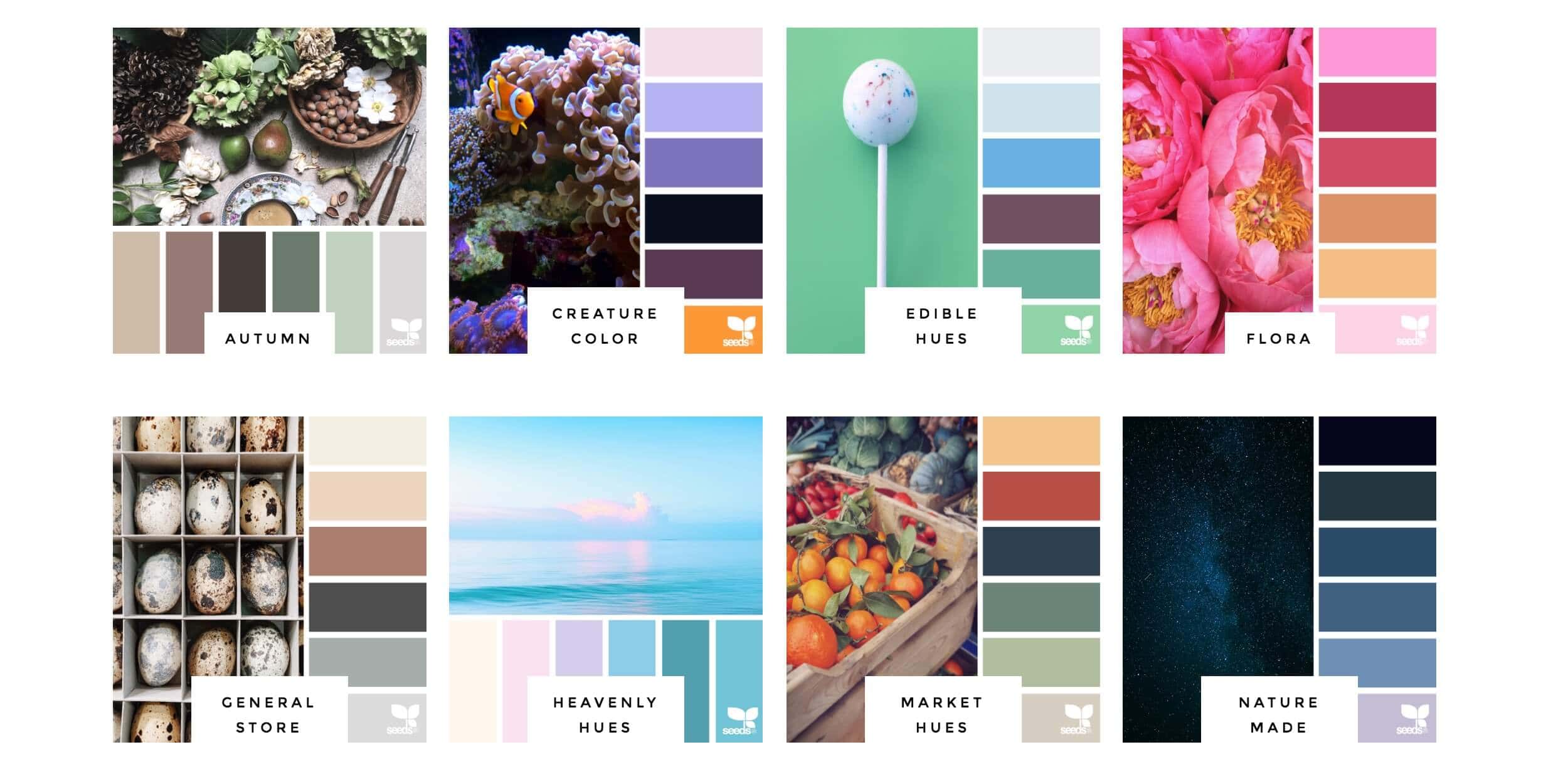 Color palettes to inspire your ideas