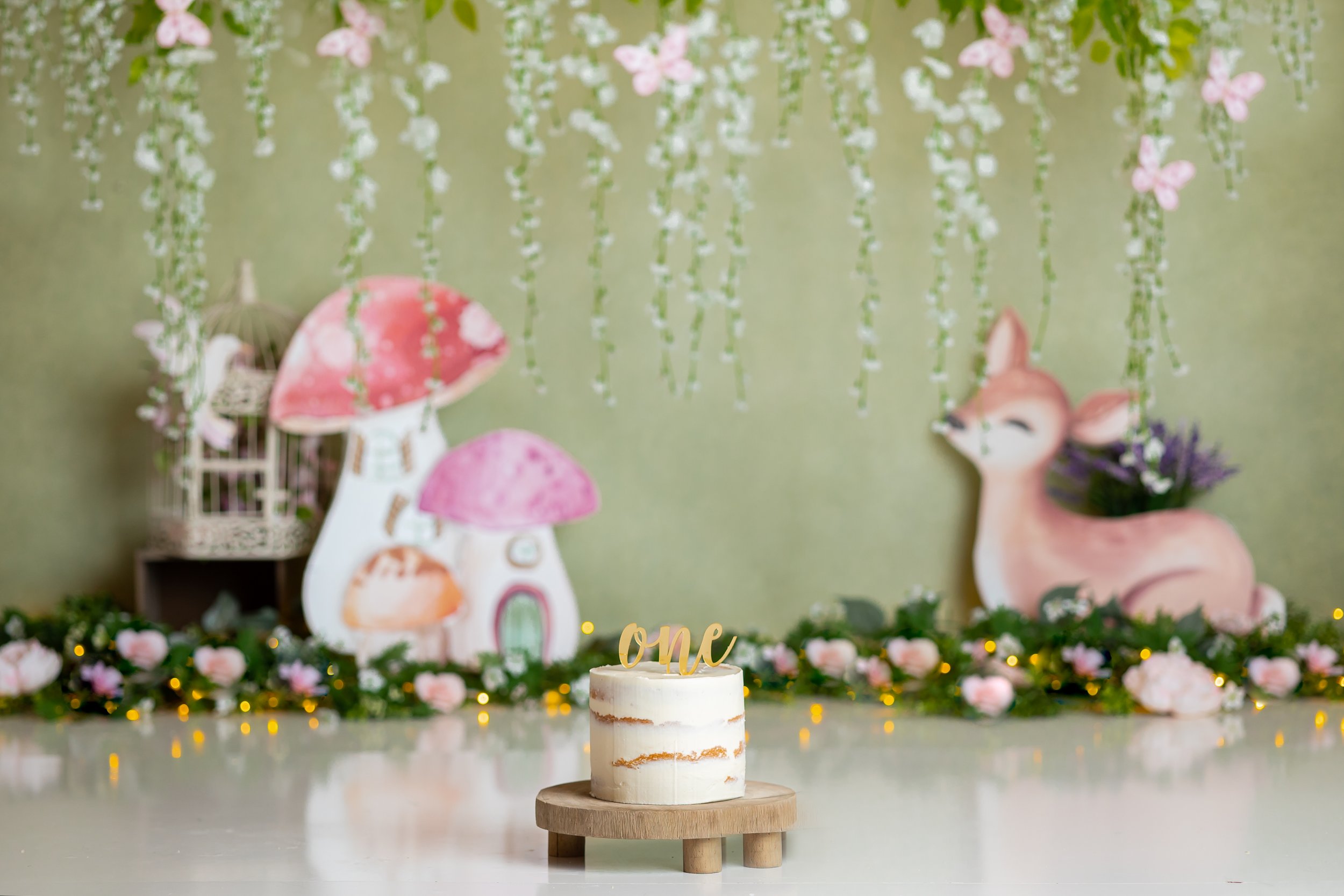 Whimsical Woods Cake Smash Theme